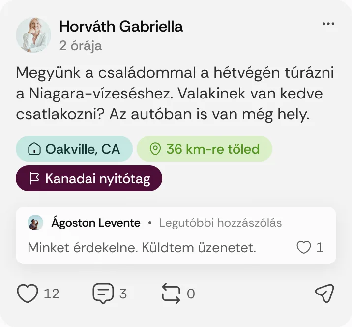Horváth Gabriella posztja: „Megyünk a családommal a hétvégén túrázni a Niagara-vízeséshez.”