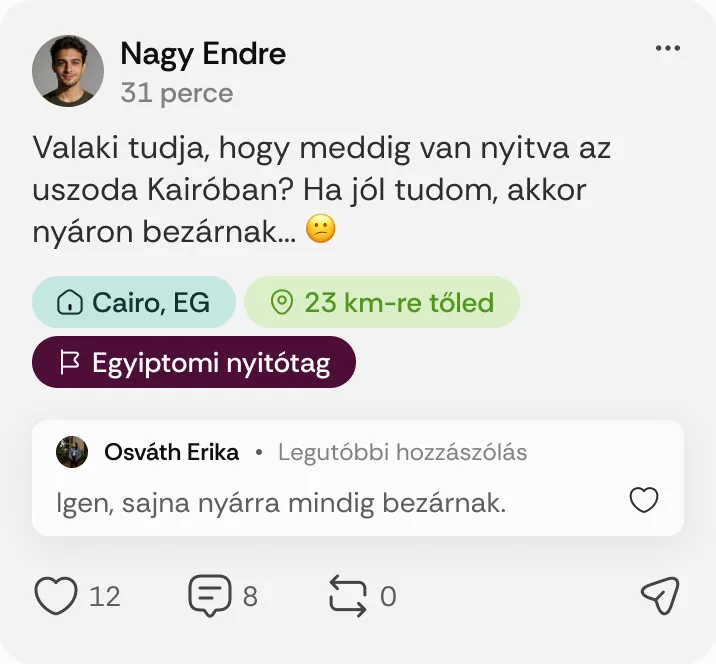 Nagy Endre posztja: „Valaki tudja, hogy meddig van nyitva az uszoda Kairóban?”